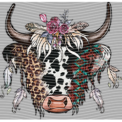 Cow-NIU 2624